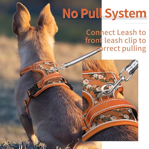 Dog Harness No Pull Adjustable Padded Reflective Harness for Small Medium Large Dogs with Handle for Walking Training (XS / Flower-Orange)