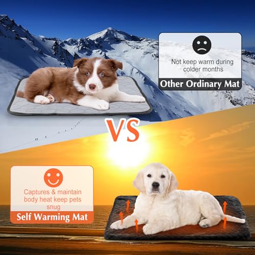4 Pack Self Warming Cat Bed Mat Self Heating Pad for Dog Extra Warm Winter Pet Pad Washable Thermal Pads Mats for Pets Indoor Outdoor (Black / 16 x 20 Inch)