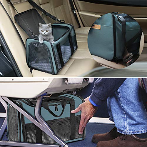 Cat Carrier Portable Foldable Dog Pet Carrier (17.5"L x 11.0"W x 11.0"H / Blue)