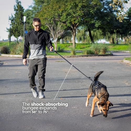Waist Leash for Dog Walking (Black / Iron Grey)