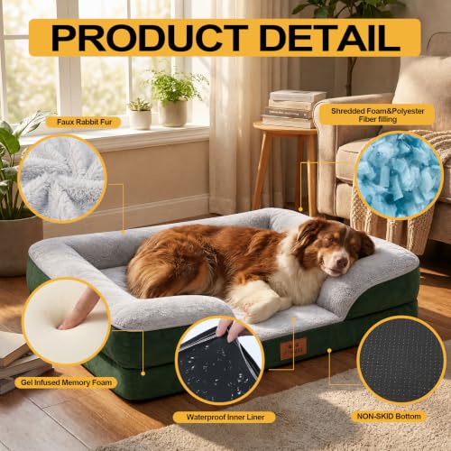 Orthopedic Dog Bed Medium Size Dog (Green / 30.0" L x 20.0" W x 6.3" Th)
