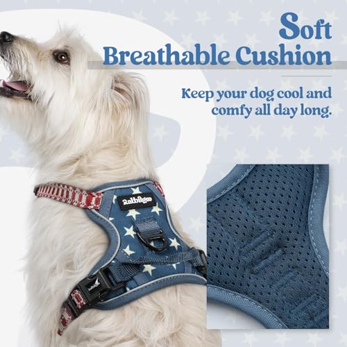 Dog Harness No Pull for Small Dogs with 2 Leash Clips (X-Small / Blue Star)