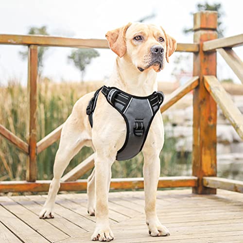 Dog Harness No Pull Adjustable Padded Reflective Harness for Small Medium Large Dogs with Handle for Walking Training (XL / Grey)