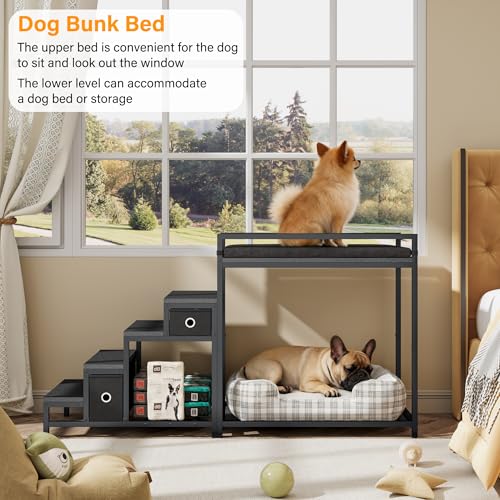 Pet Bunk Bed with Stairs and Storage (Black)