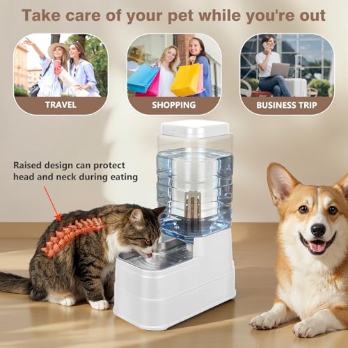 2.2 Gallon Pet Automatic Dog Water Dispenser Cat Gravity Waterer Feeder with Stainless Steel Bowl Large Capacity Puppy Feeding Raised Bowls with Filter (White / 8L(2.2 Gallon))