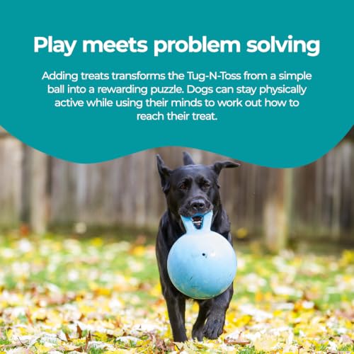 Tug-n-Toss Heavy Duty Dog Toy Ball with Handle, 8 Inches/Large, Blueberry (Blueberry / Large (8 in))