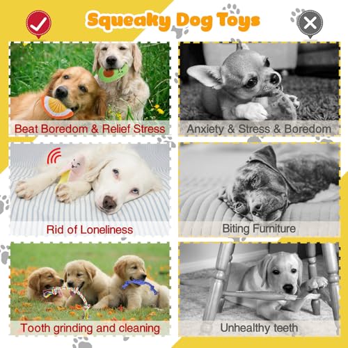 Puppy Chew Toys for Teething - PetSolution