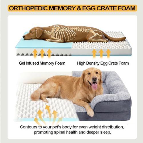 Orthopedic Dog Bed Medium Size Dog (Grey / 30.0" L x 20.0" W x 6.3" Th)
