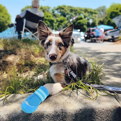 Dog Shoes for Large Medium Dog Boots & Paw Protectors for Hot Pavement (Blue / Size 5: 2.4''x2.8''(W*L) for 40-55 lbs)