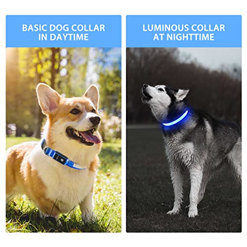 Light up Dog Collar (Blue / L(19 inch-23.6 inch))