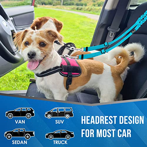 Double Dog Car Seat Belt (Light Blue)