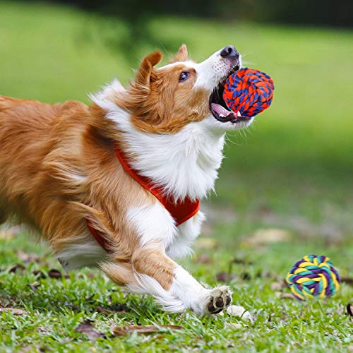 Large Tough Chew Toys for Aggressive Chewers (9 Packs / Large)