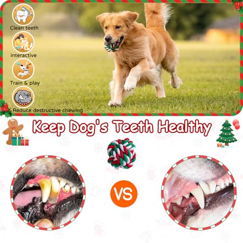 Dog Rope Toys Set (7 Pack Christmas-Large)