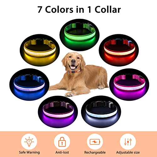 Light up Dog Collar (Orange / M(15 inch-19.7 inch))