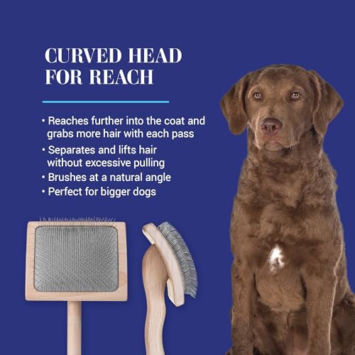 Mark VII Curved Back Slicker Brush for Dogs (Mark VII Large Curved Back)