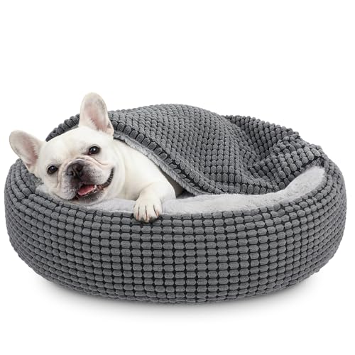 Dog Bed with Attached Blanket for Small Dogs or Cats (Grey / M(26''x26''x8''))