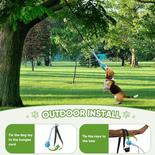 Dog Bungee Toy 5.2ft for Medium Dogs (Medium)