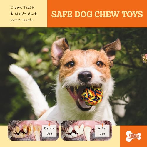 Puppy Teething Toys for Small Dogs (5 Pack / Small)