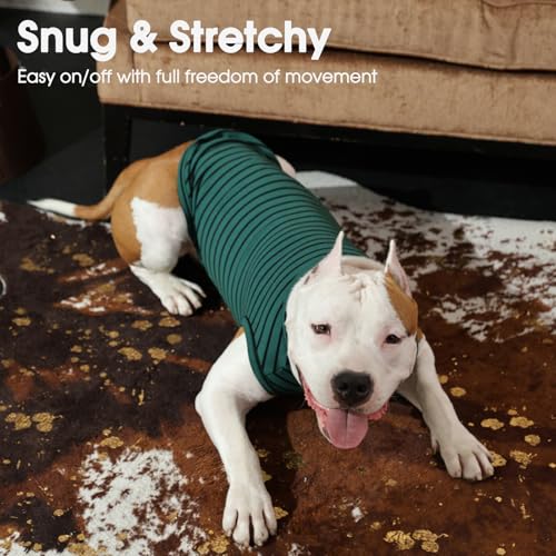 Small Dog Sweater (Medium / Green Stripes)