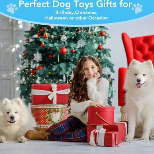 No Stuffing Dog Squeaky Toys Plush Chew Toys for Small Medium Large Dogs (5 Pack)