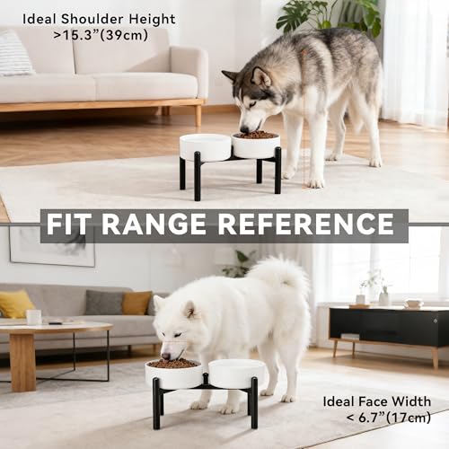 Raised Ceramic Dog Bowl Set with Stand (White / 2 Bowls - 7.5 Cups Each)