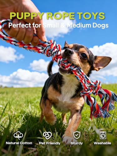 Dog Rope Toy 9 Pack (Blue / Mini/Small)