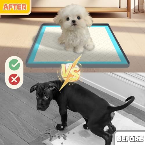 Pee Pad Holder for Dogs - PetSolution