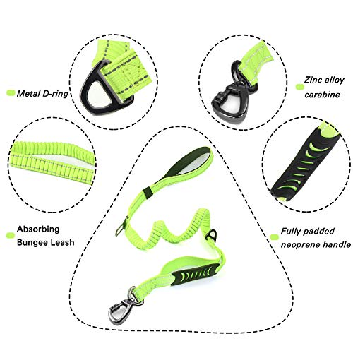 Heavy Duty Bungee Dog Leash with Locking Carabiner for Large Dogs (Fluorescent Green)
