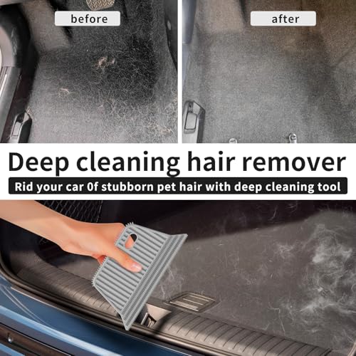 Pet Hair Remover (Sky Blue With Gray)