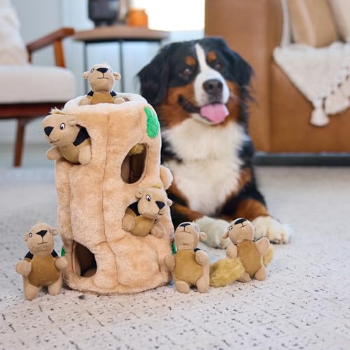 Hide-A-Squirrel Plush Squeaky Dog Toy, XL, 7" x 11.8" (Squirrel Xlarge / X Large (Pack of 1))