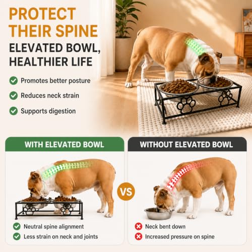 Raised Dog Bowls for Small Dogs (BLACK)