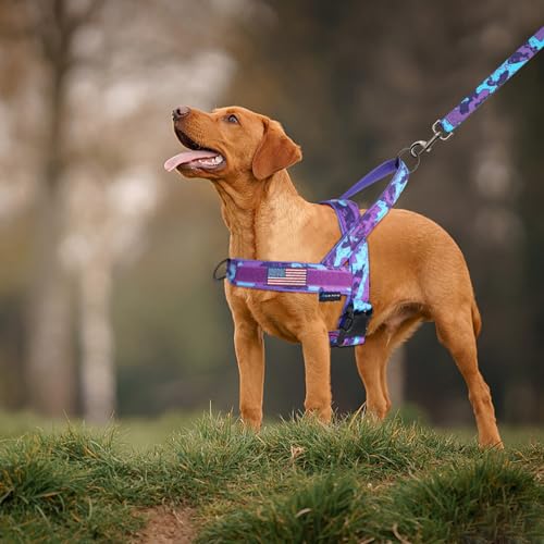 No Pull Dog Harness with Soft Padded Handle (L / Camo Purple)