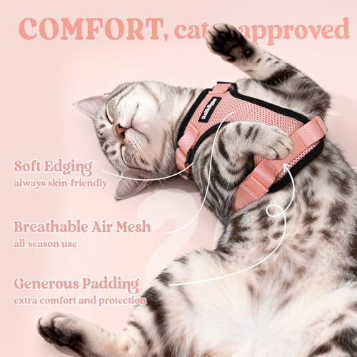 Cat Harness and Leash Set (S / Light Salmon Pink)