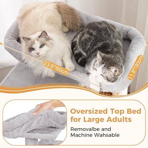 53”Cat Tree with Hammock & Extra Large Bed 23x12” for Large Cats (XLarge-53" / Gray)