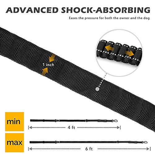 Heavy Duty Bungee Dog Leash with Locking Carabiner for Large Dogs (Black)
