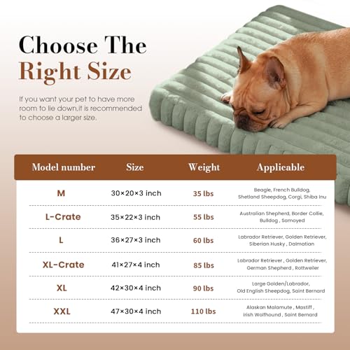 Medium Dog Bed Orthopedic Foam with Waterproof Lining (M(30"*20"*3") / Light Green)