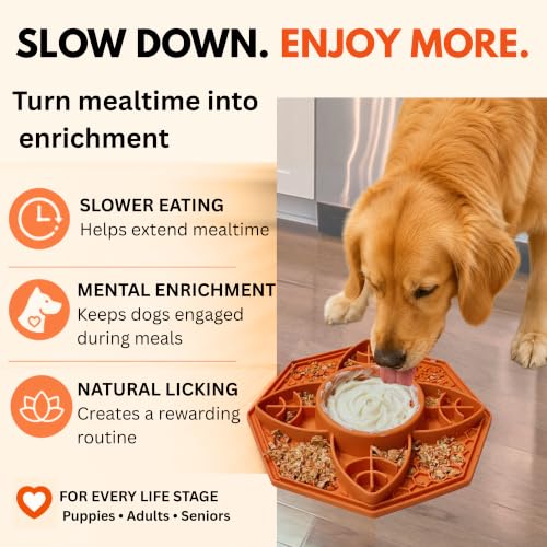 Dog Lick Mat & Slow Feeder Bowl