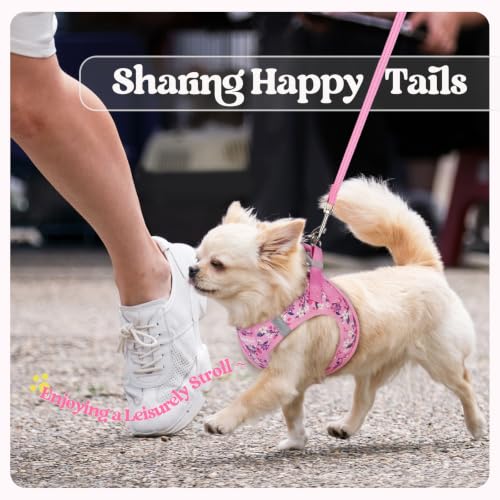 Dog Harness Medium Sized and Leash Set (Pink Floral / M (chest: 16 - 18.5"))