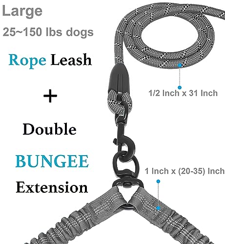 Double Dog Leash (Grey / Large)