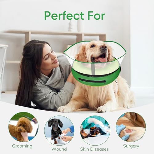 Raised Inflatable Dog Cone After Surgery (Kiwi / M(Neck 9"-13"))