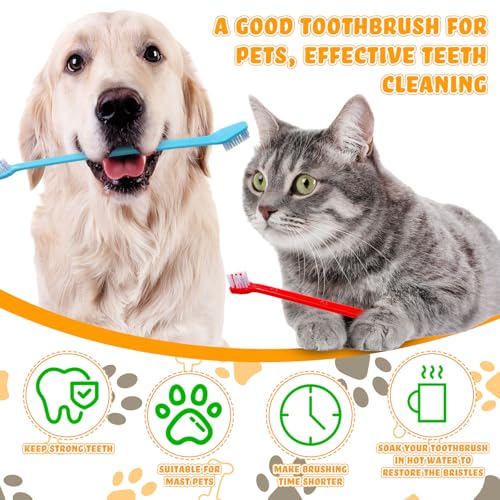 150 Pcs Dog Toothbrush Dual Headed Dental Brushes Puppy Tooth Brushing Kit Long Handle Toothbrush for Large and Small Dogs Cats Most Pets Teeth Cleaning Oral Care Supplies (Bright Color)