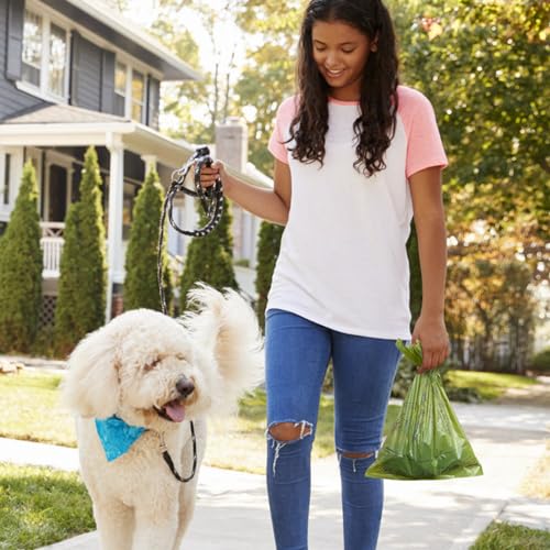480 Count Lavender Scented 13” x 9” Dog Poop Bags Rolls (1 Count (Pack of 480))