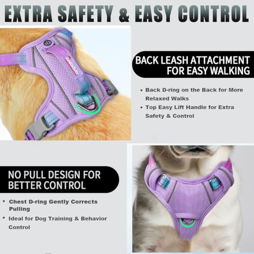Dog Harness for Small Sized Dog No Pull Dog Vest ID Tag Pocket (Lavender Sky / X-Small)