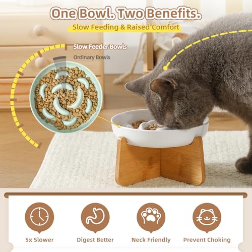 Elevated Slow Feeder Cat Bowl (White + Bamboo Base / 7"H)