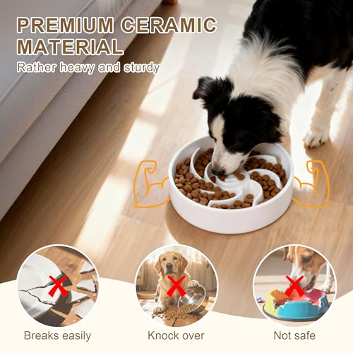Ceramic Slow Feeder Dog Bowl (White)