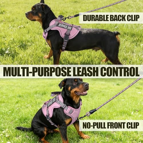 Dog Harness and Leash Set for Small Dogs (Pink / S)