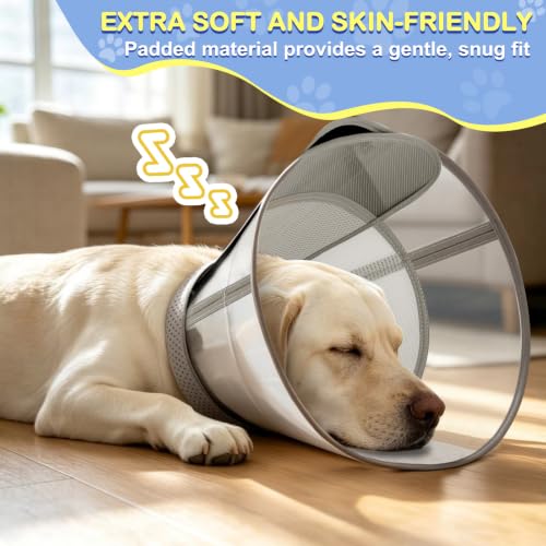 Dog Cone to Stop Licking (L (Neck: 15.4-17.3") / Grey)