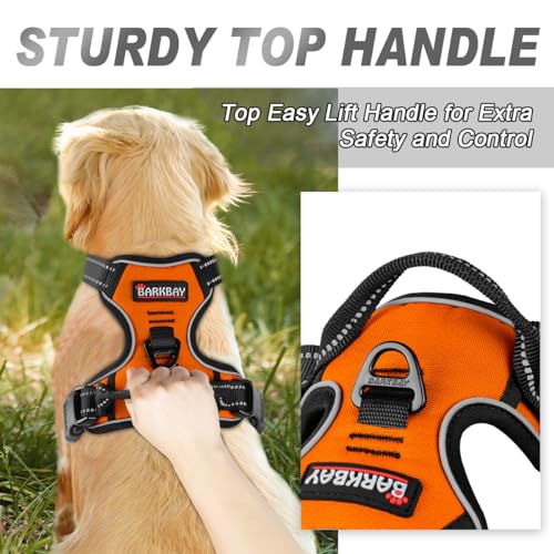 Dog Harness No Pull for Small Sized Dog Front Back Clips (Small(Chest:19.5-26") / Orange)