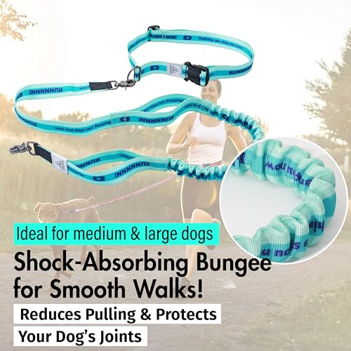 Hands Free Dog Leash (Aqua Blue)