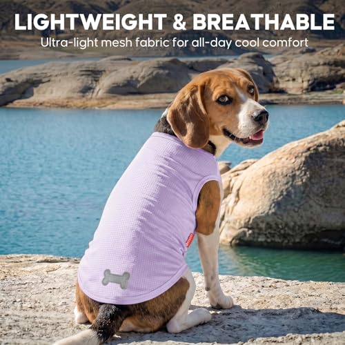 2Pack Dog Shirts for Small Dogs Breathable Mesh Tank Top (Medium (7-13lbs) / 3# 2Pack (Dinosaur+Purple))